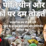 कूड़ा, पॉलिथीन और पशु – सड़कों पर दम तोड़ती गायें